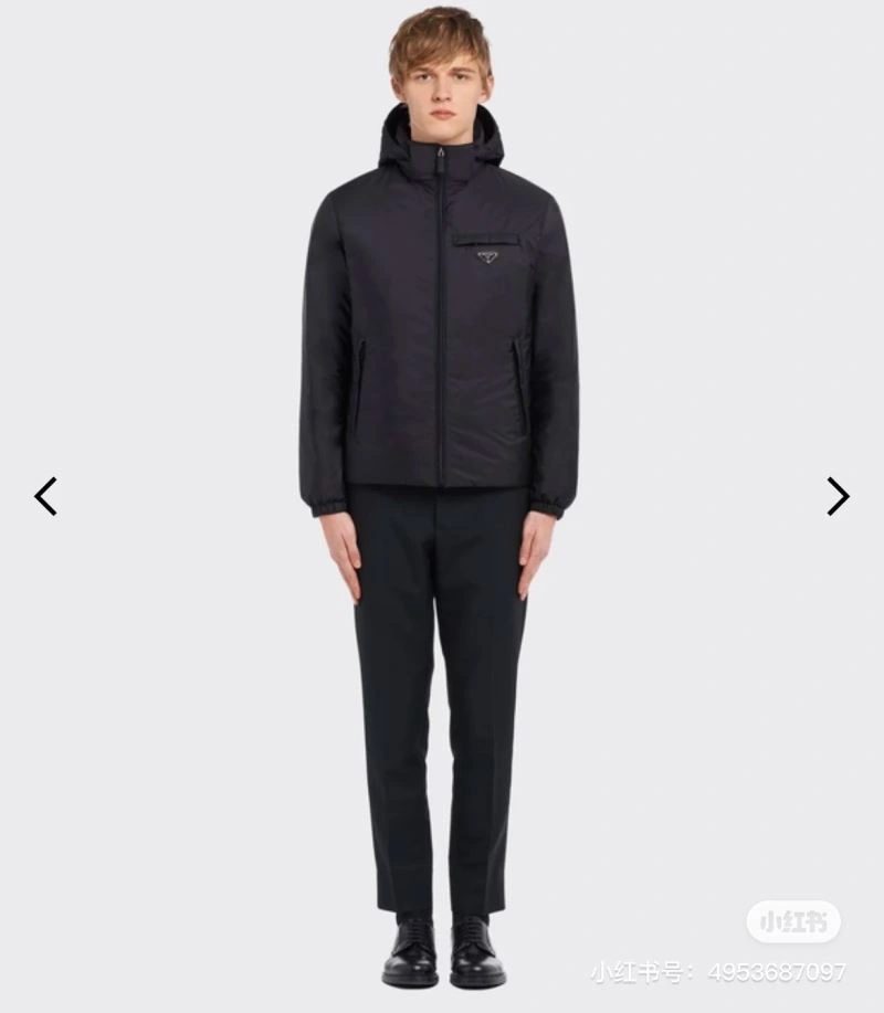 WellDesigned Prada Down Jackets 172118