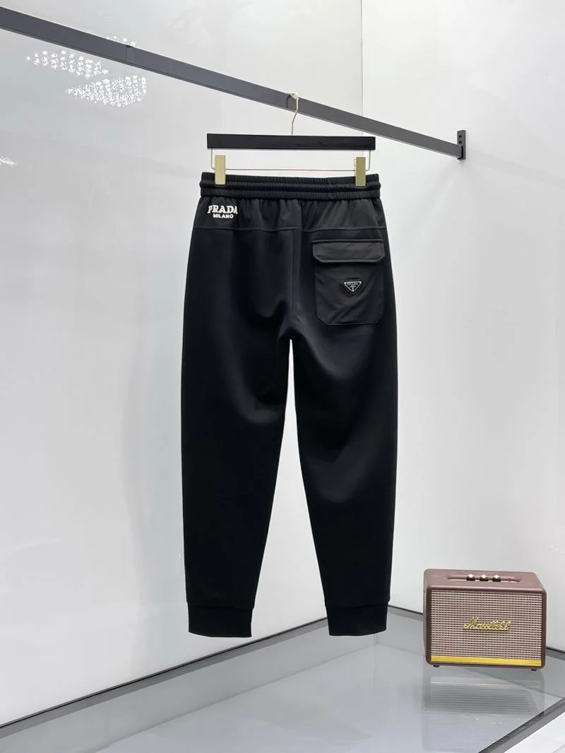 WrinkleFree Prada Long Pants 168256