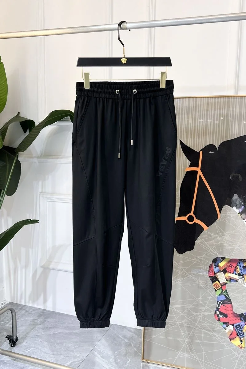 WellDesigned Prada Long Pants 167580