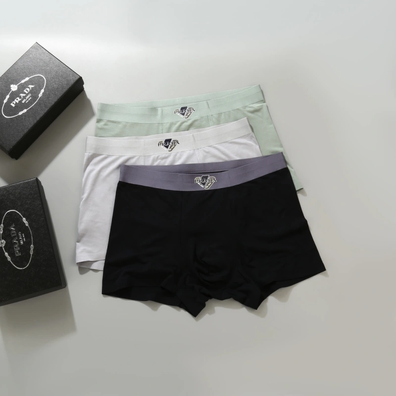 Prada Underwear GoAnywhere 276616