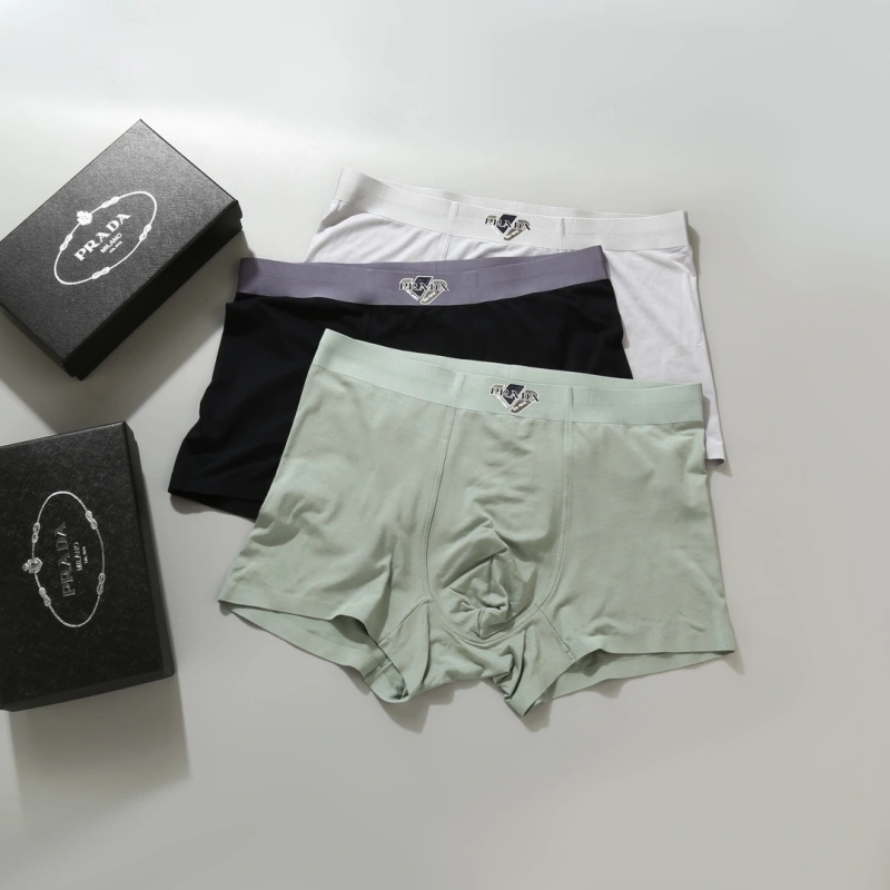 Prada Underwear GoAnywhere 276616