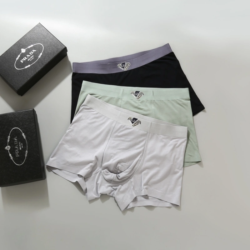 Prada Underwear GoAnywhere 276616