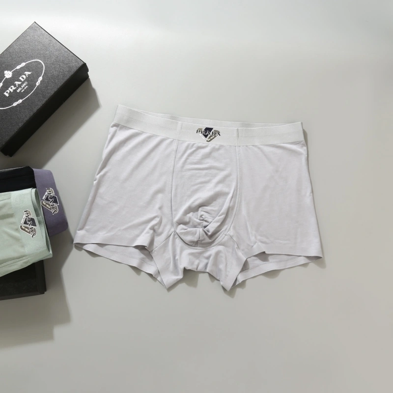Prada Underwear GoAnywhere 276616