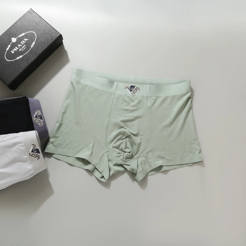 Prada Underwear GoAnywhere 276616