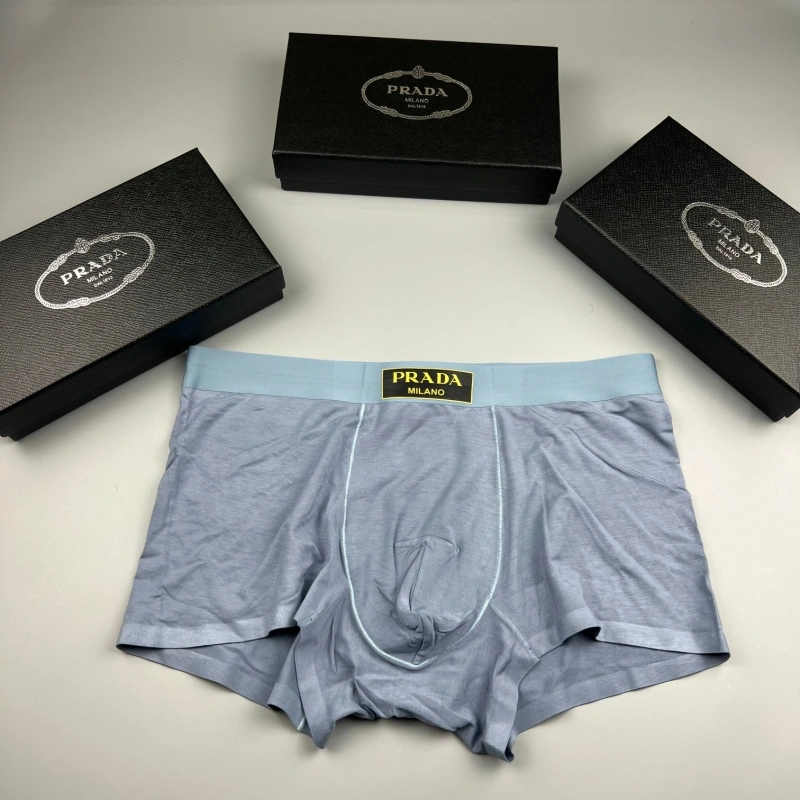 TechFriendly Prada Underwear 276608
