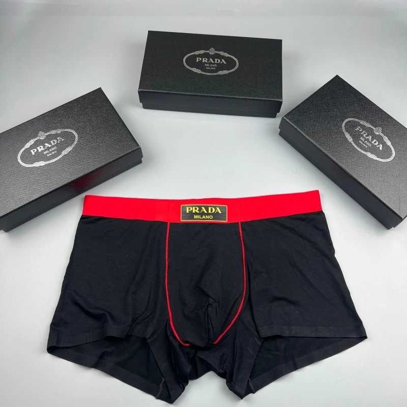 TechFriendly Prada Underwear 276608