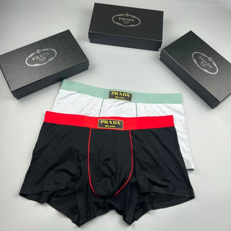 TechFriendly Prada Underwear 276608