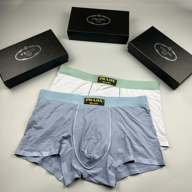 TechFriendly Prada Underwear 276608