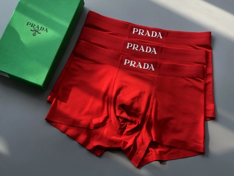 Prada Underwear TravelReady 276603