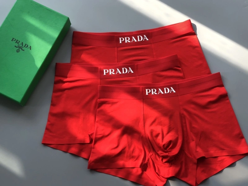 Prada Underwear TravelReady 276603