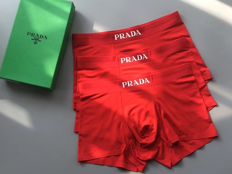 Prada Underwear TravelReady 276603