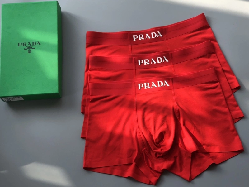 Prada Underwear TravelReady 276603