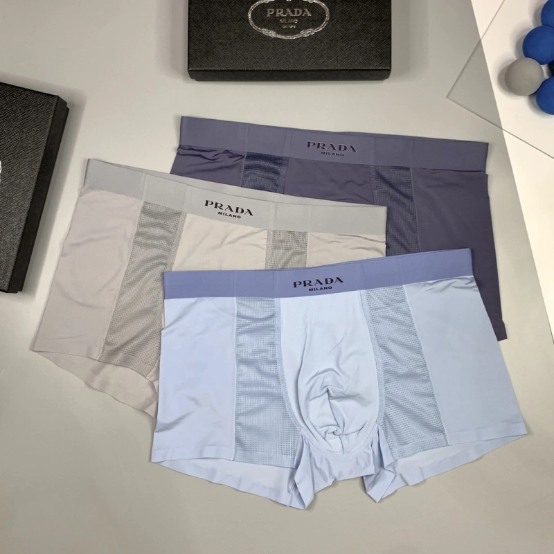 EyeCatching Prada Underwear 276235