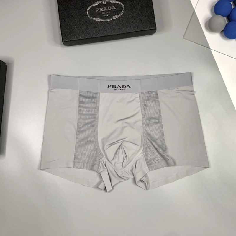 EyeCatching Prada Underwear 276235