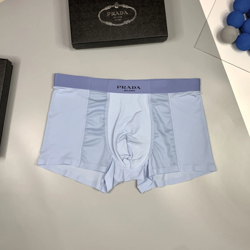 EyeCatching Prada Underwear 276235