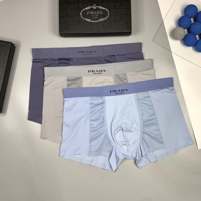 EyeCatching Prada Underwear 276235