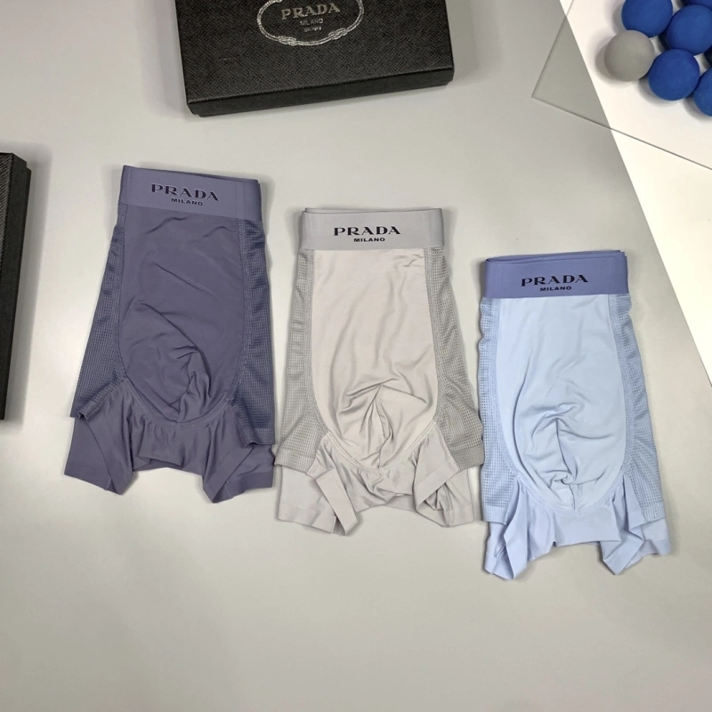 EyeCatching Prada Underwear 276235