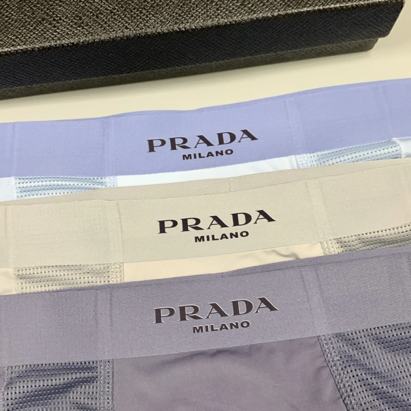 EyeCatching Prada Underwear 276235