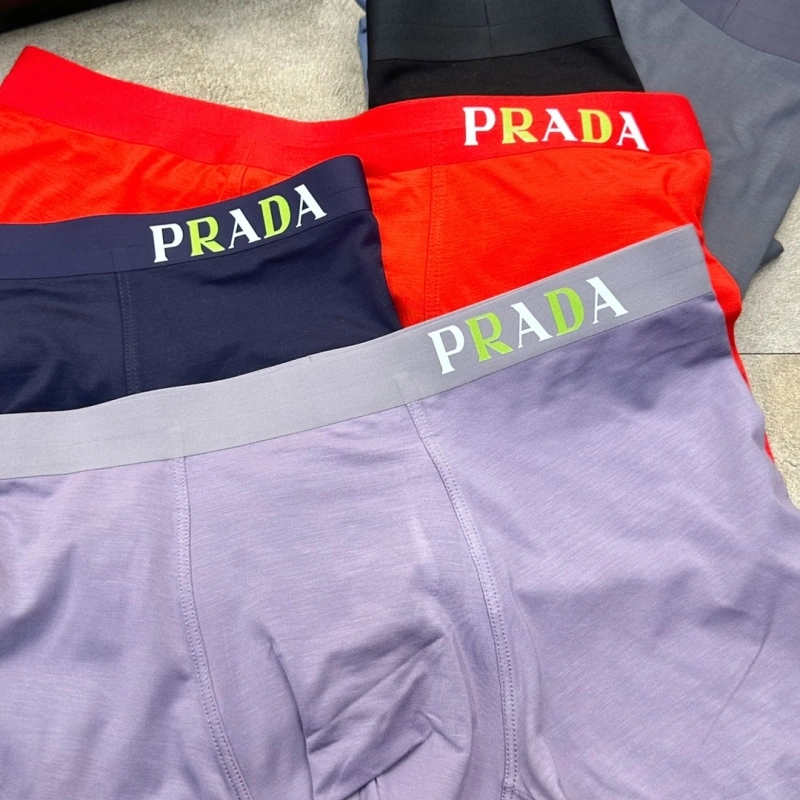 Prada Underwear MultiPurpose 276212