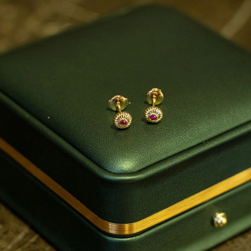 Qeelin Earrings Premium 213846