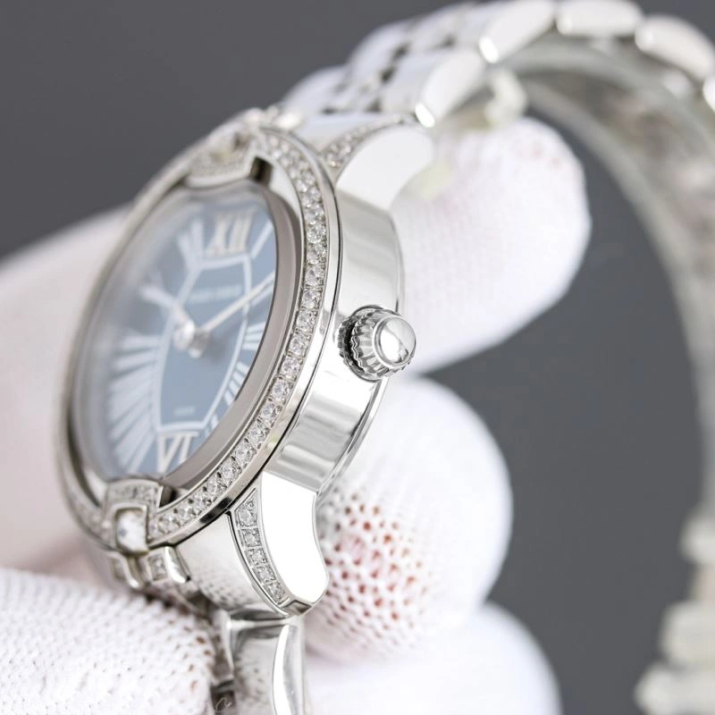 ROGER DUBUIS Watches Colorful 199061
