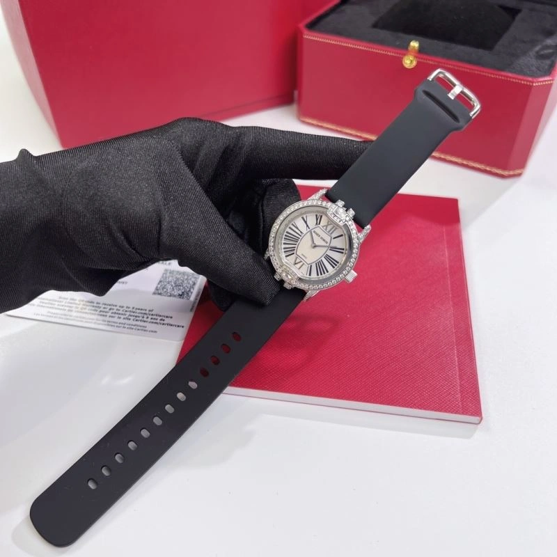 EasyCare ROGER DUBUIS Watches 199063