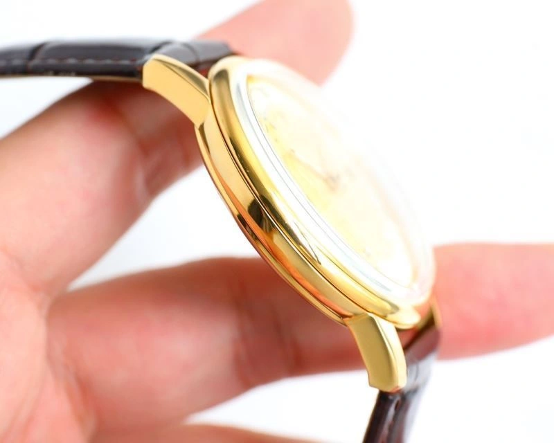ROLEX Watches GoAnywhere 202599