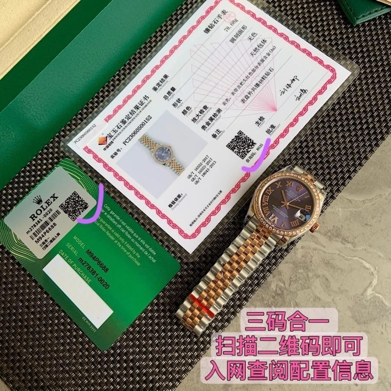 ROLEX Watches ZipUp 202597
