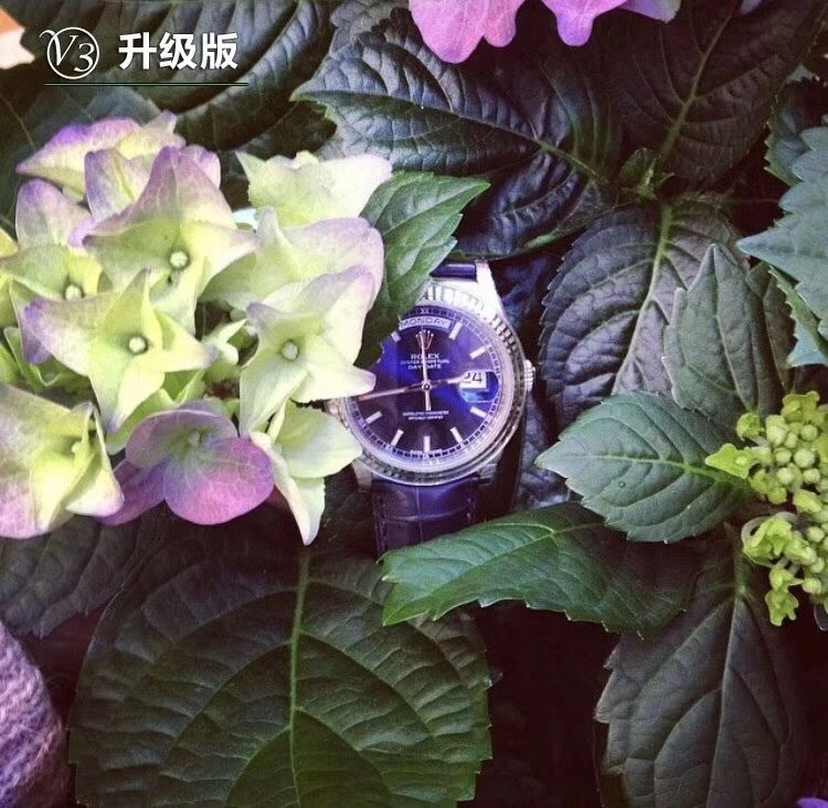 Cozy ROLEX Watches 202573
