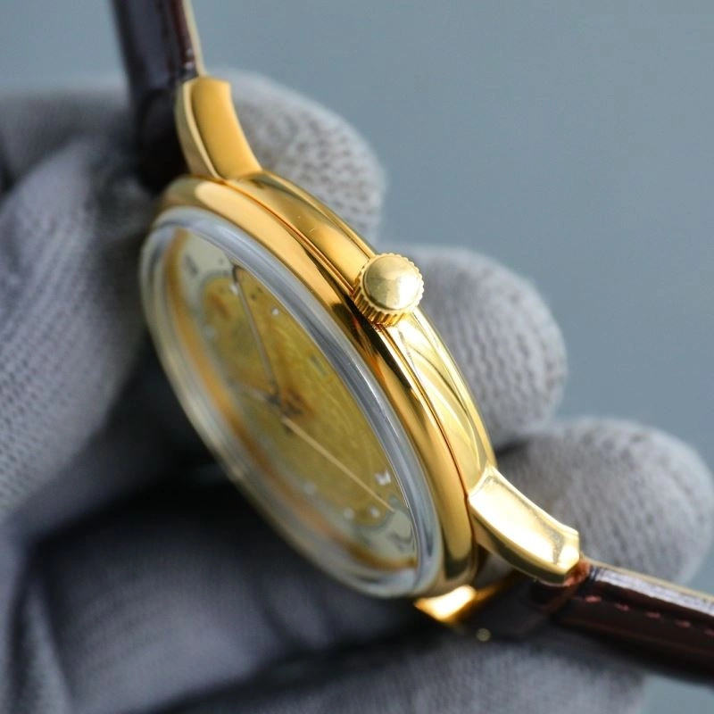 ROLEX Watches Sophisticated 202572
