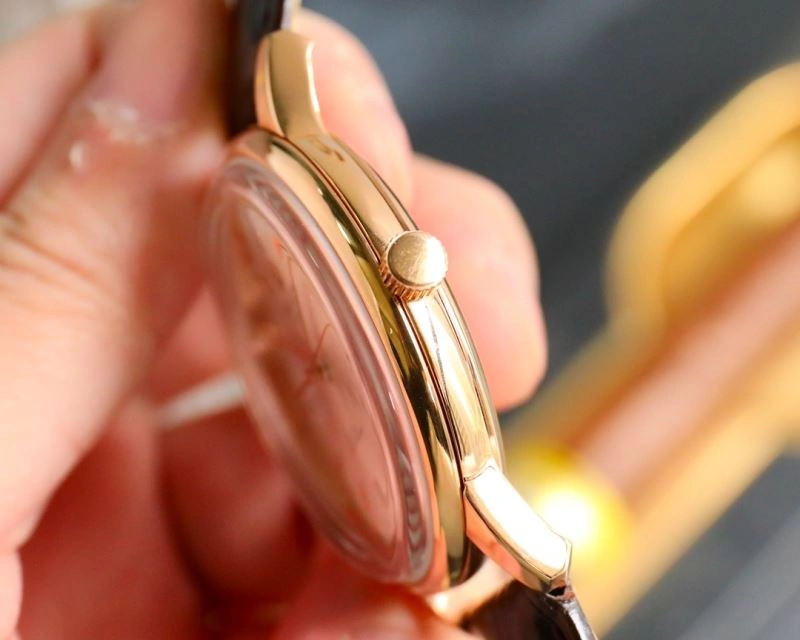 ROLEX Watches DailyWear 201084