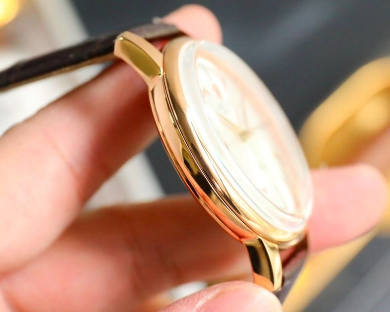 ROLEX Watches DailyWear 201084