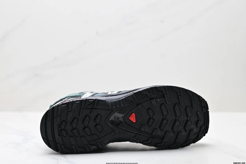 Unique Salomon Shoes 2921