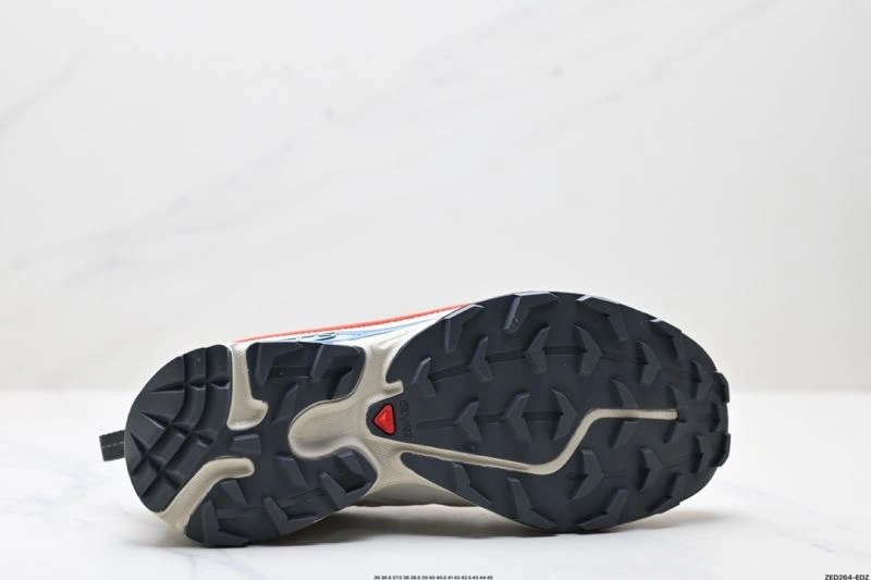 Salomon Shoes Classic 2903