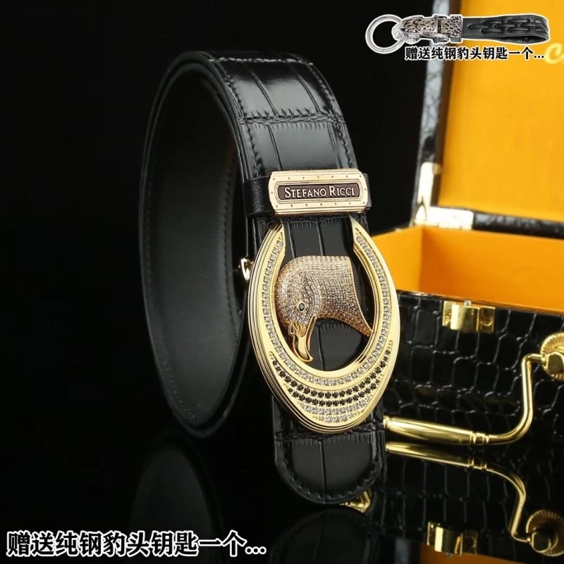 DailyWear Stefano Ricci Belts 303809