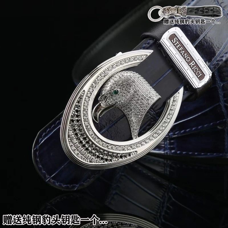 DailyWear Stefano Ricci Belts 303809