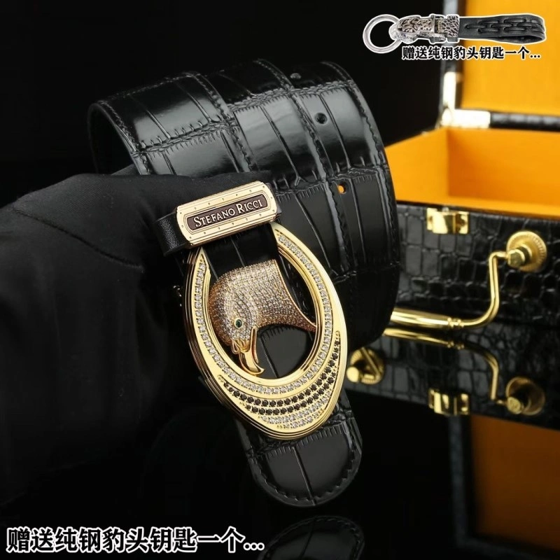 DailyWear Stefano Ricci Belts 303809