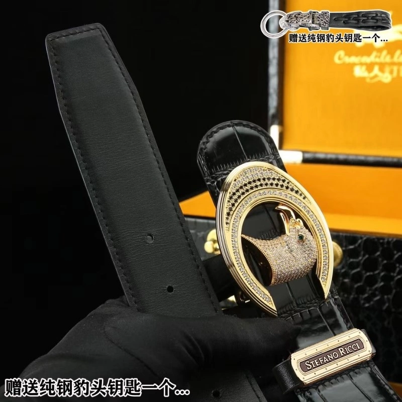 DailyWear Stefano Ricci Belts 303809