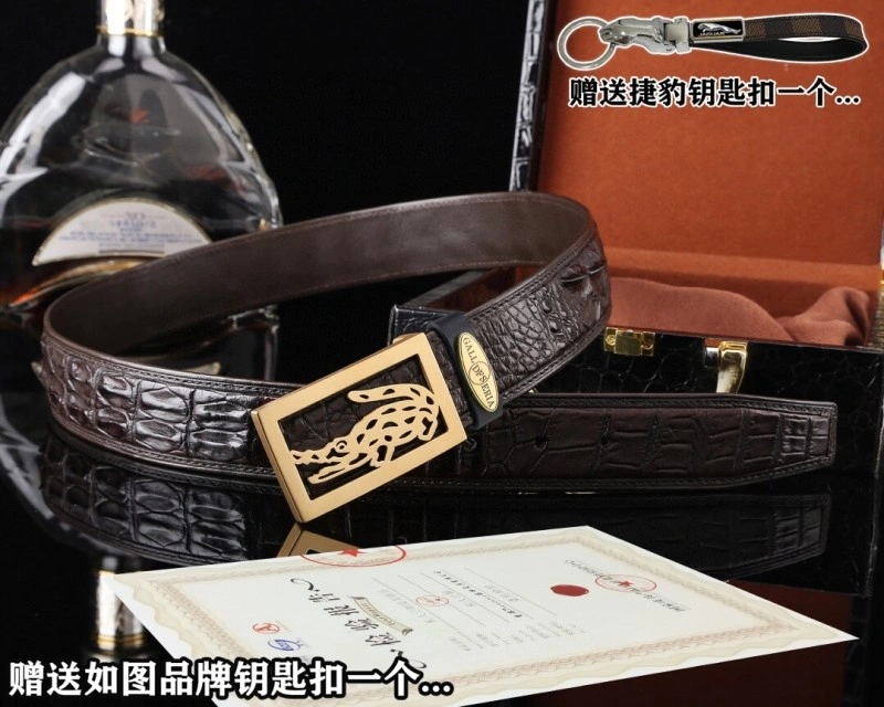 Stefano Ricci Belts Colorful 303629