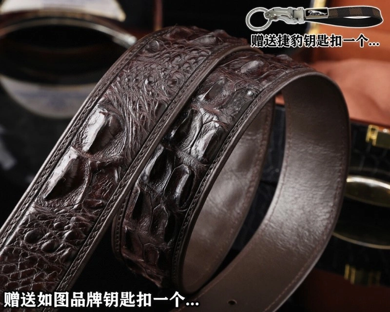 Stefano Ricci Belts Colorful 303629