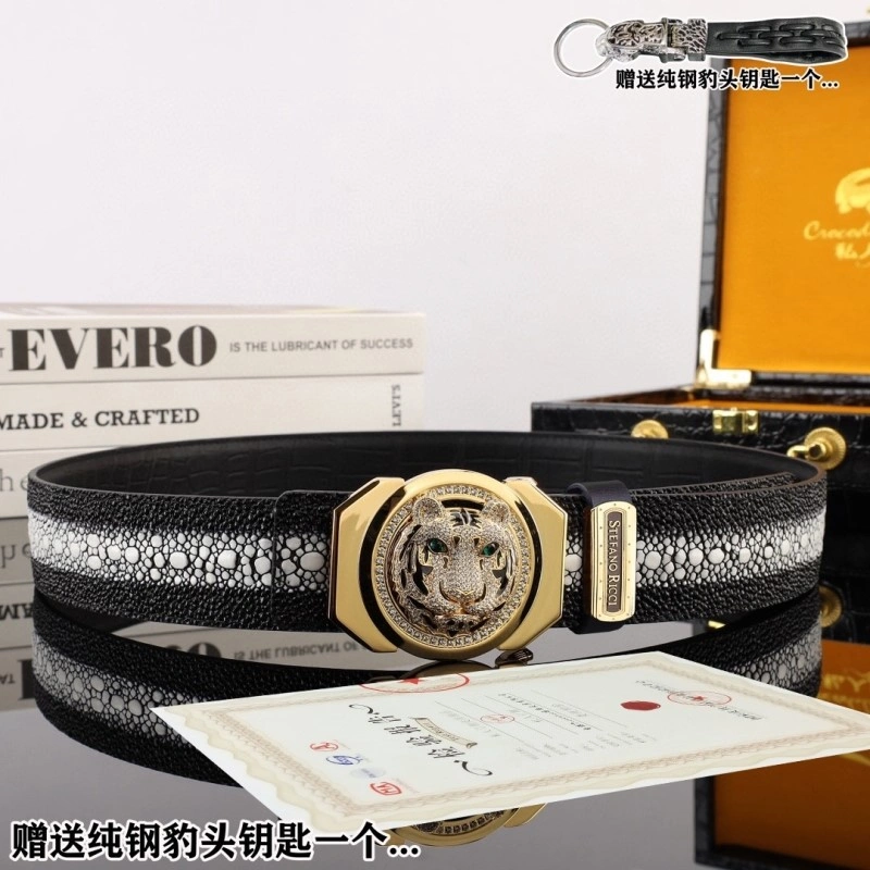 Stefano Ricci Belts Popular 303574