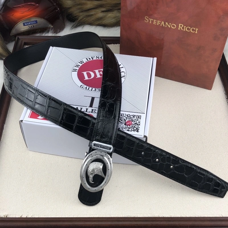 FreshLook Stefano Ricci Belts 303453