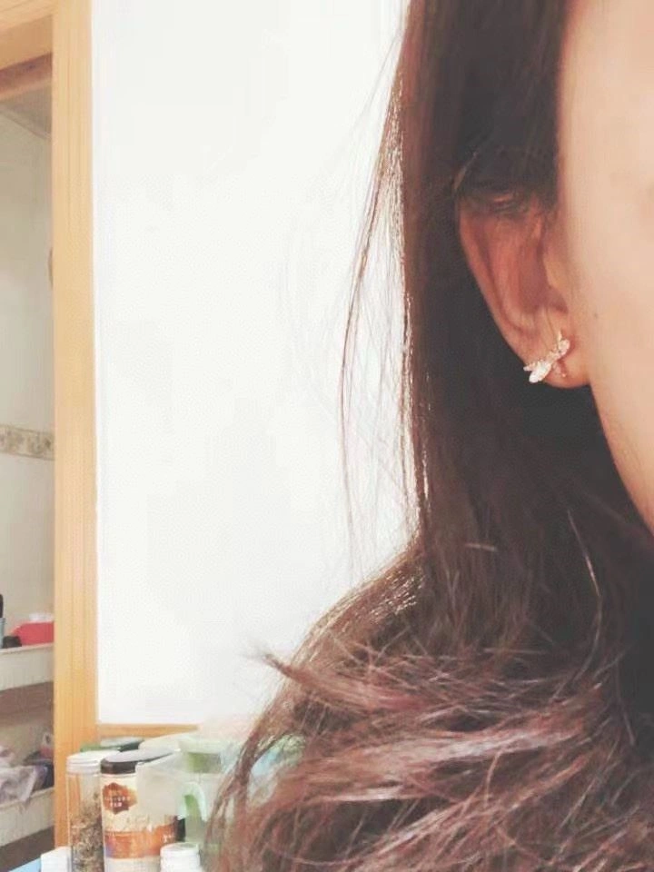 Swarovski Earrings SunProtective 252051