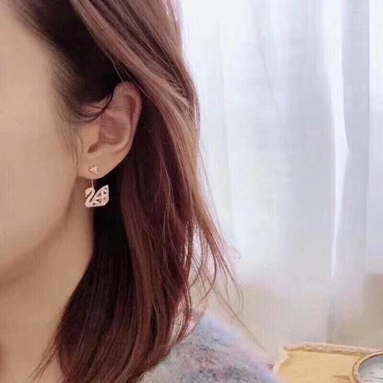 Compact Swarovski Earrings 252050