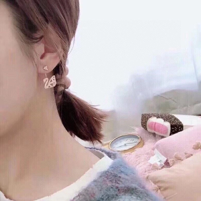 Compact Swarovski Earrings 252050