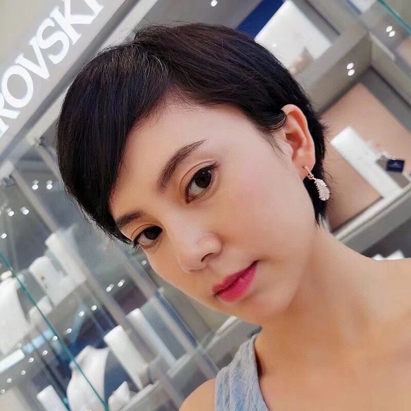Sophisticated Swarovski Earrings 252002