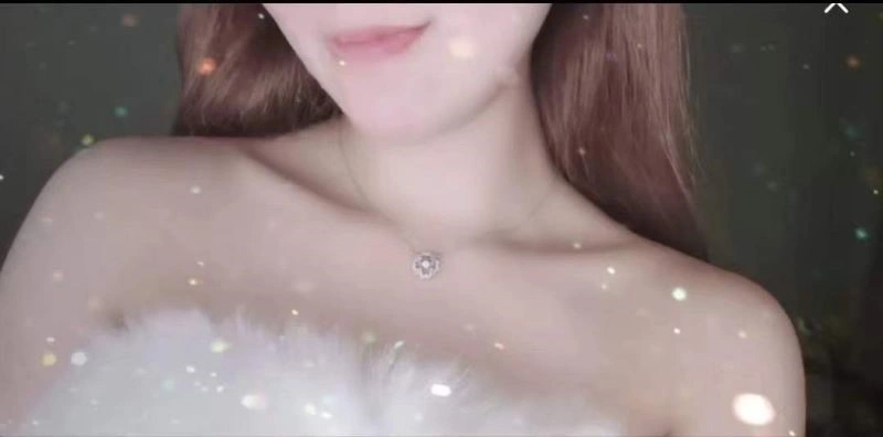 Packable Swarovski Necklaces 251872