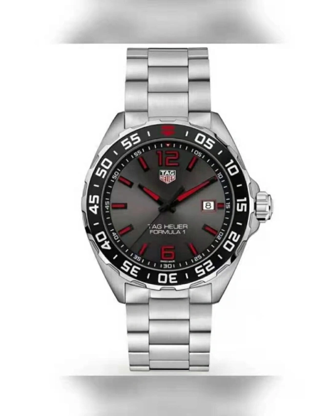 TAG HEUER Watches Soft 203065