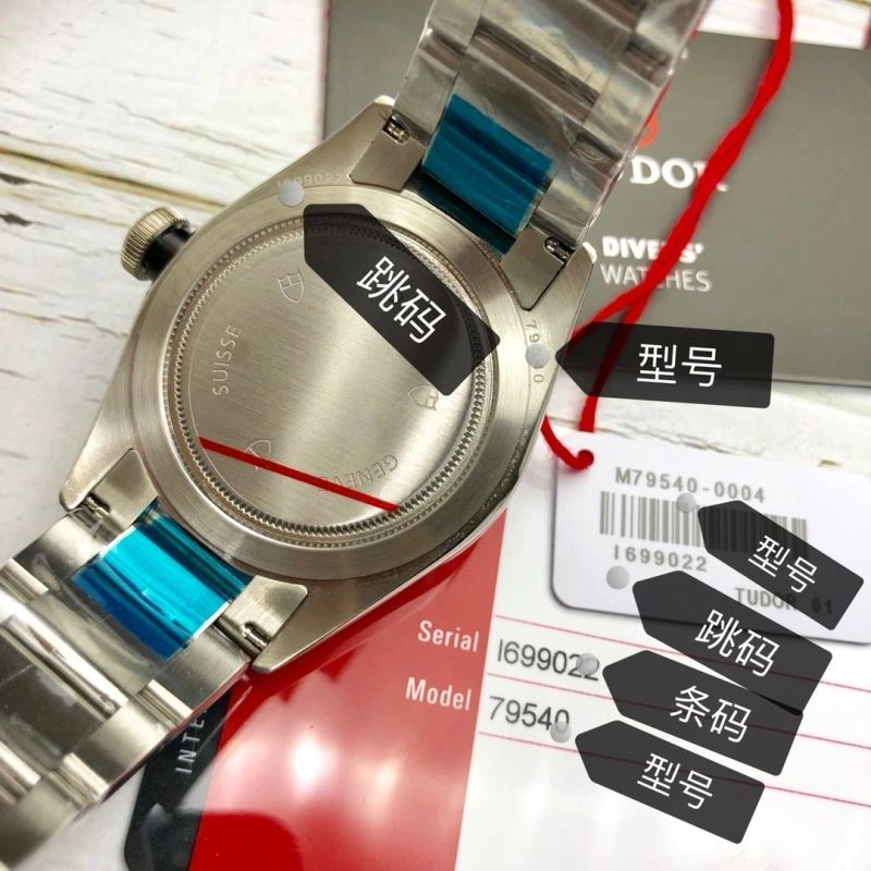 TUDOR Watches Soft 204219