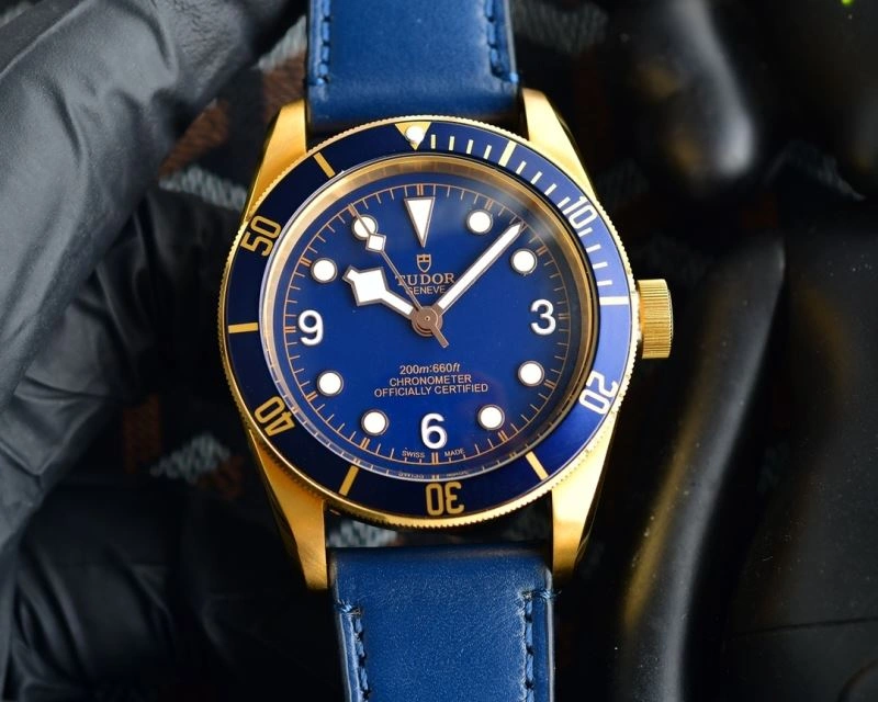 EasyMatch TUDOR Watches 204208